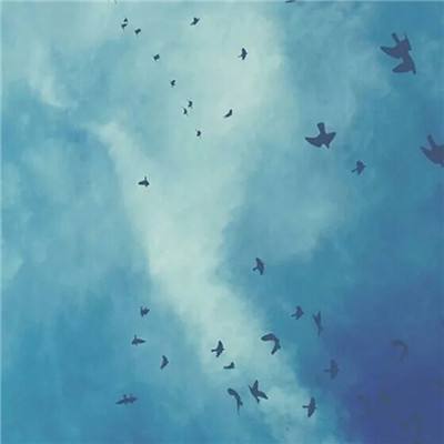 百姓彩票手机app下载